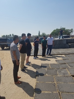 1470909115716698.jpg 01.jpg